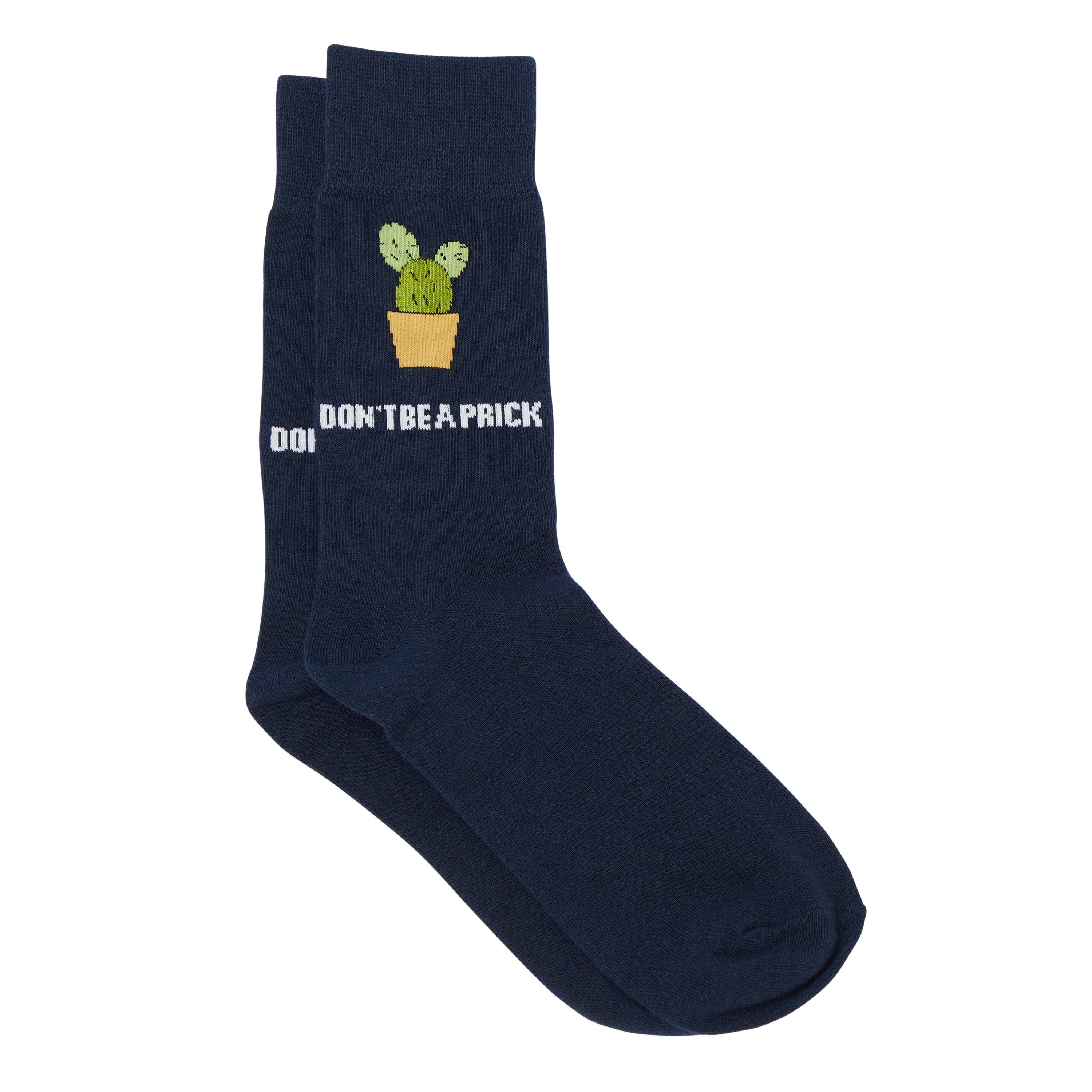 Cactus Pun Sock