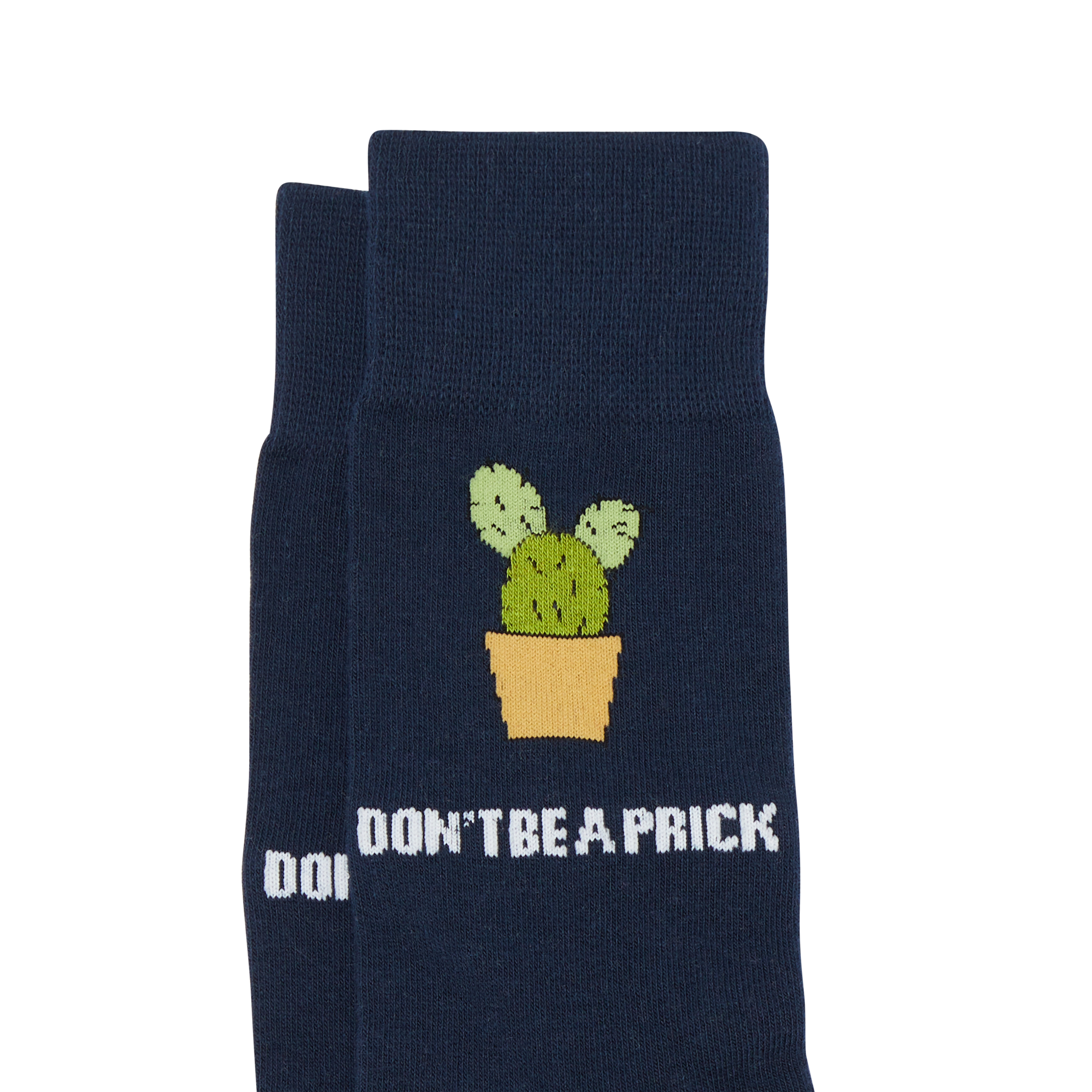 Cactus Pun Sock