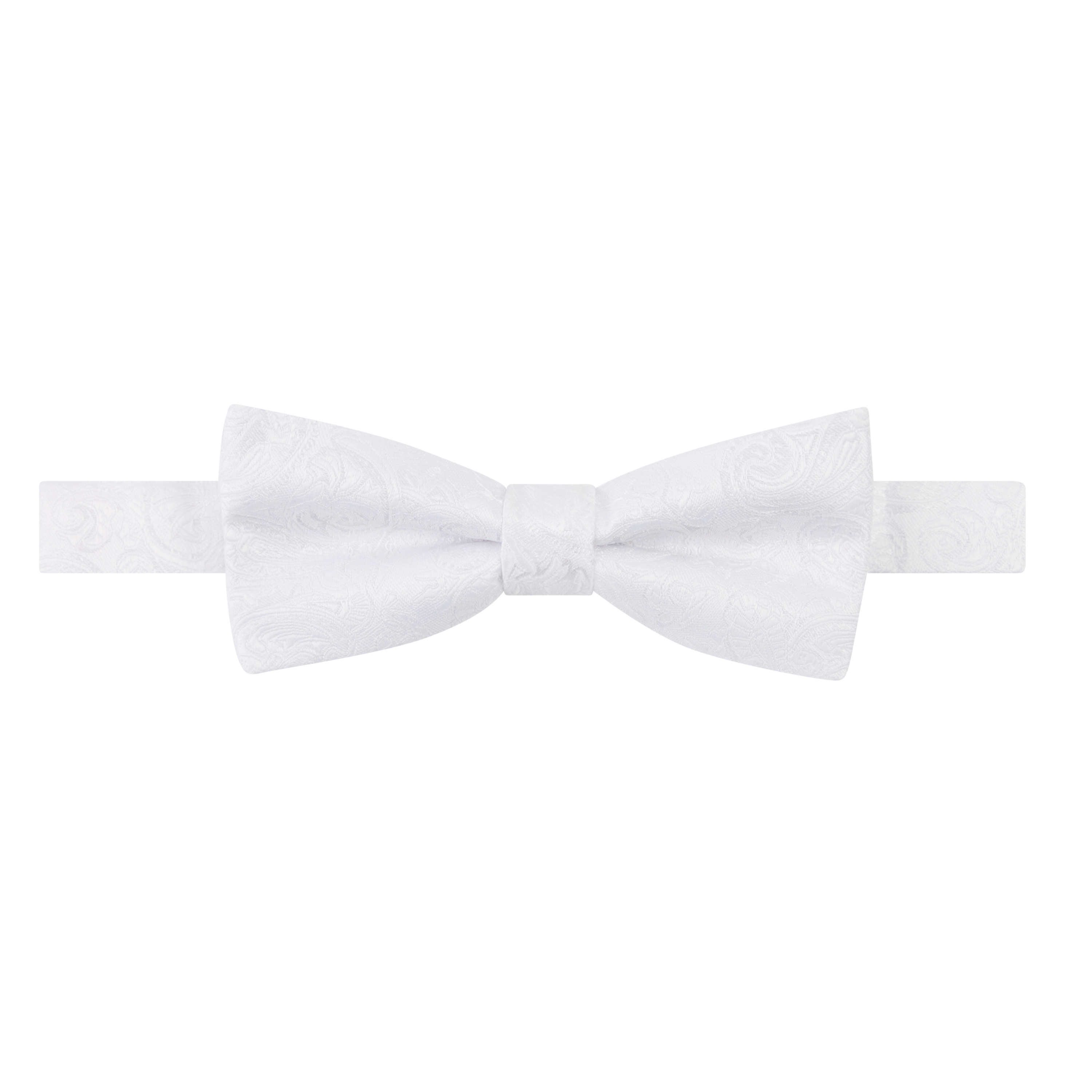 Rialta Paisley Bow Tie