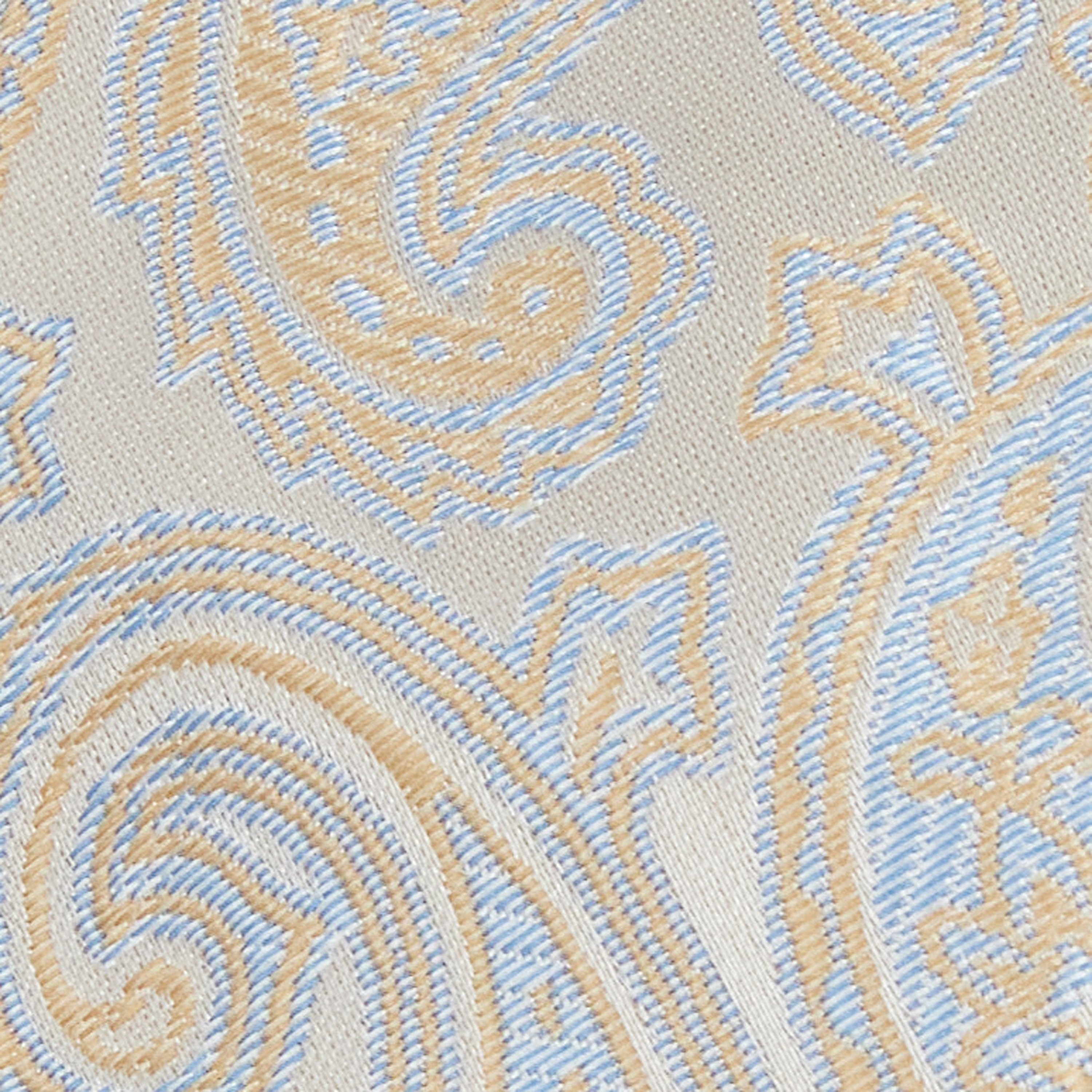 Ash 6.5 Cm Width Paisley Tie